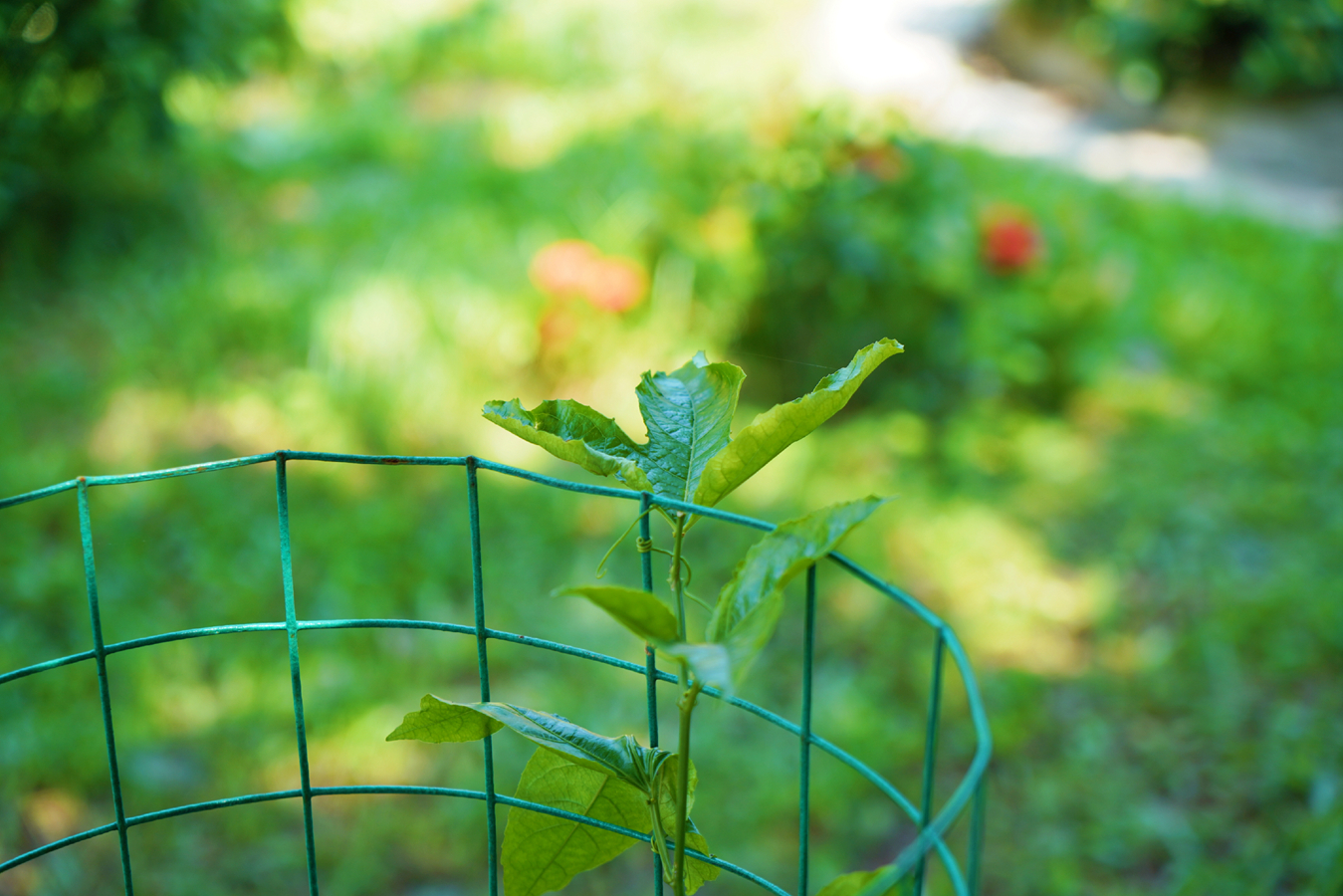 必发7790(中国区)电子集团-线上平台登录入口