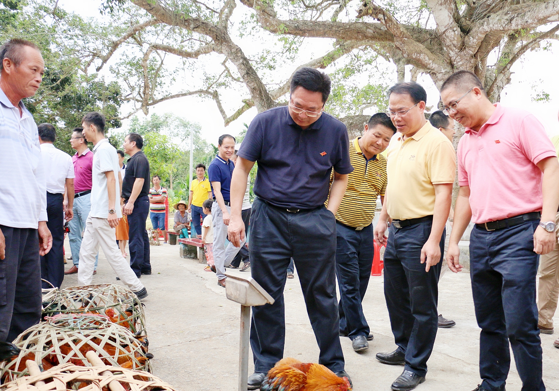 必发7790(中国区)电子集团-线上平台登录入口
