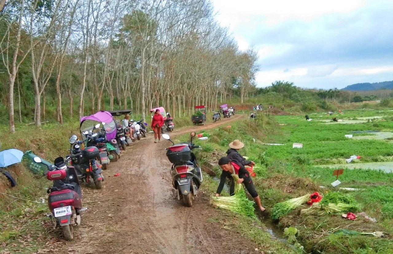 必发7790(中国区)电子集团-线上平台登录入口