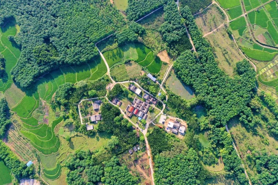 必发7790(中国区)电子集团-线上平台登录入口