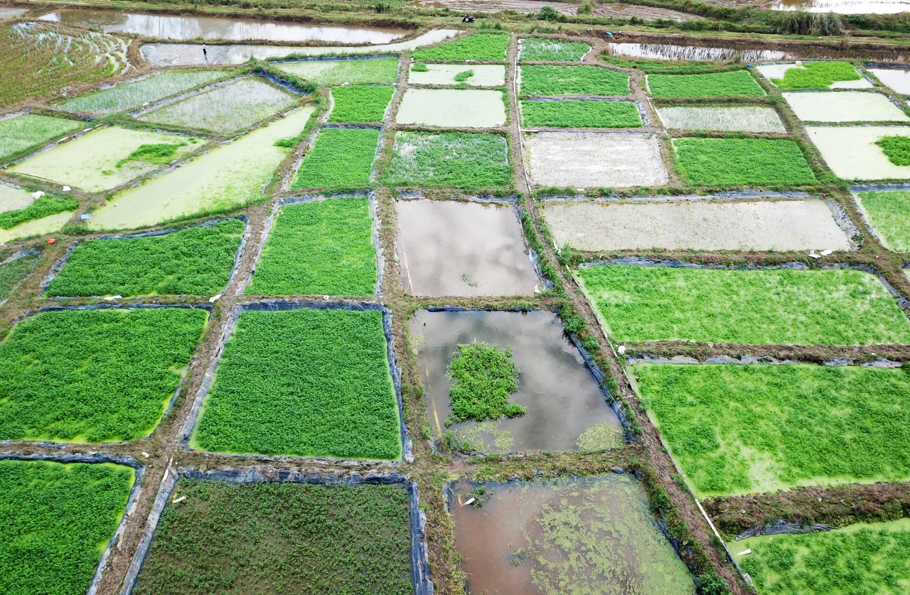 必发7790(中国区)电子集团-线上平台登录入口